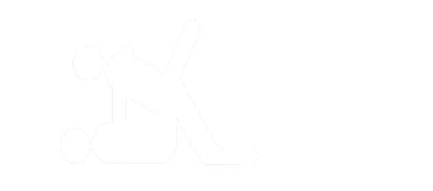 VXVIDZ